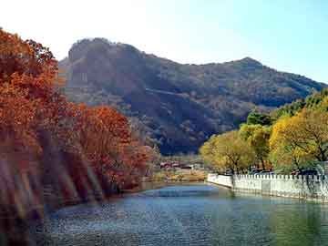 新澳天天开奖资料大全旅游团，雪铁龙世嘉论坛